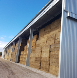 Shed Builders Beaudesert